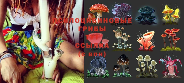 mdpv Арсеньев
