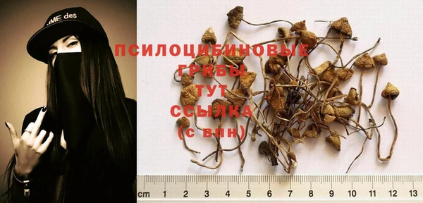 МДМА Армянск