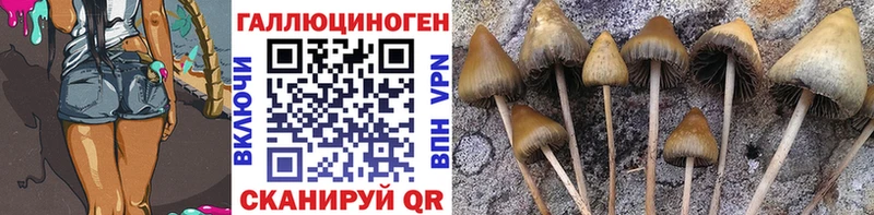 нарко площадка Telegram  Приморск  Псилоцибиновые грибы MAGIC MUSHROOMS 